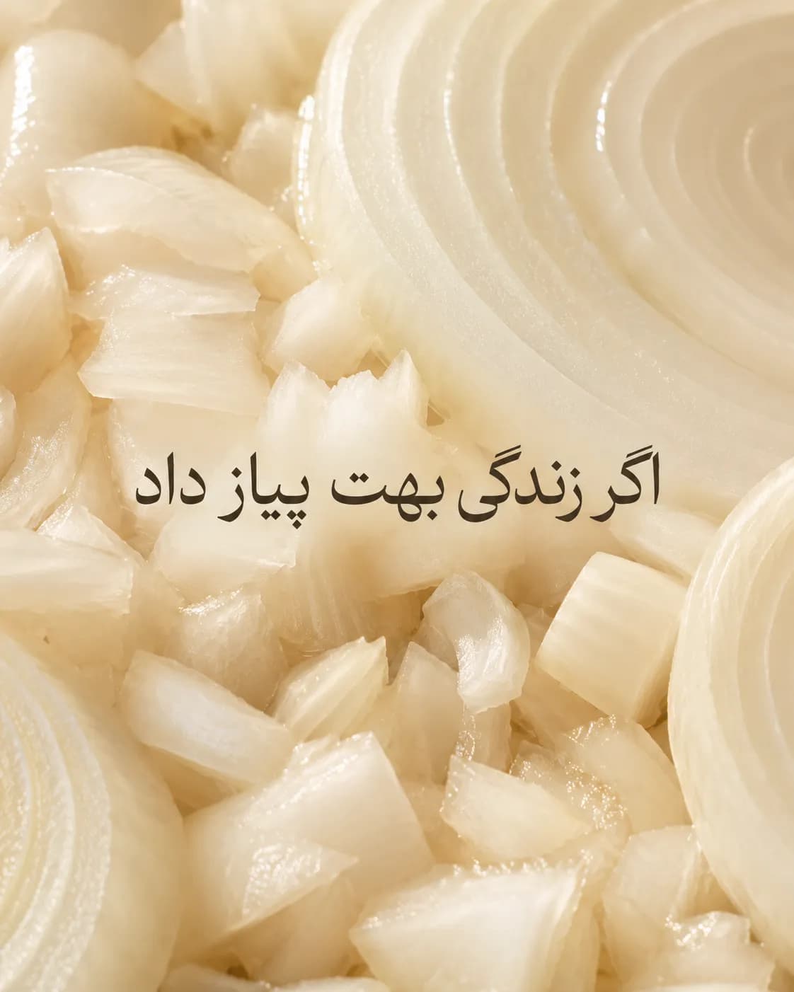 Lasagna | Food carousel concept — Onion